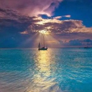 Meet your Posher, Coreenwr